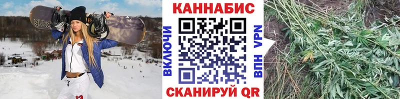 Бошки Шишки тримм KRAKEN как зайти Батайск
